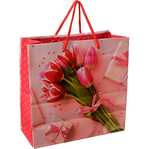 Пакет паперовий ПБС 240х230х100