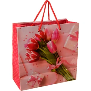 Пакет паперовий ПБС 240х230х100