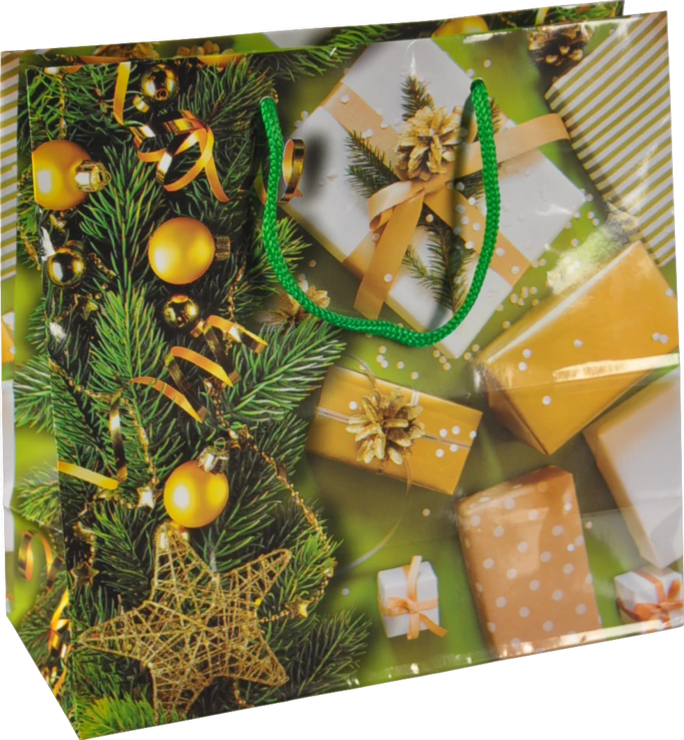 Пакет паперовий ПБС 240х230х100