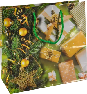 Пакет паперовий ПБС 240х230х100