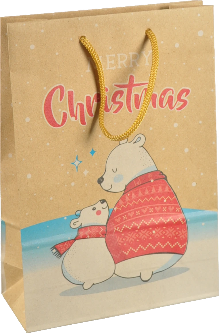 Пакет паперовий ПБС 255х170х70 крафт