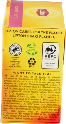 Чай чорний байховий зі шматочками лісових ягід Forest Fruit Lipton к/у 20х1.7г