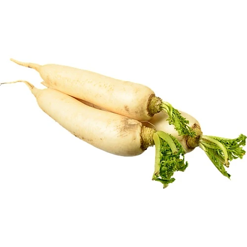 Редька Дайкон