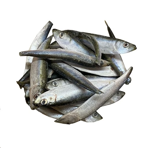 Тюлька солона