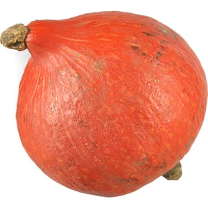 Декоративний кабак