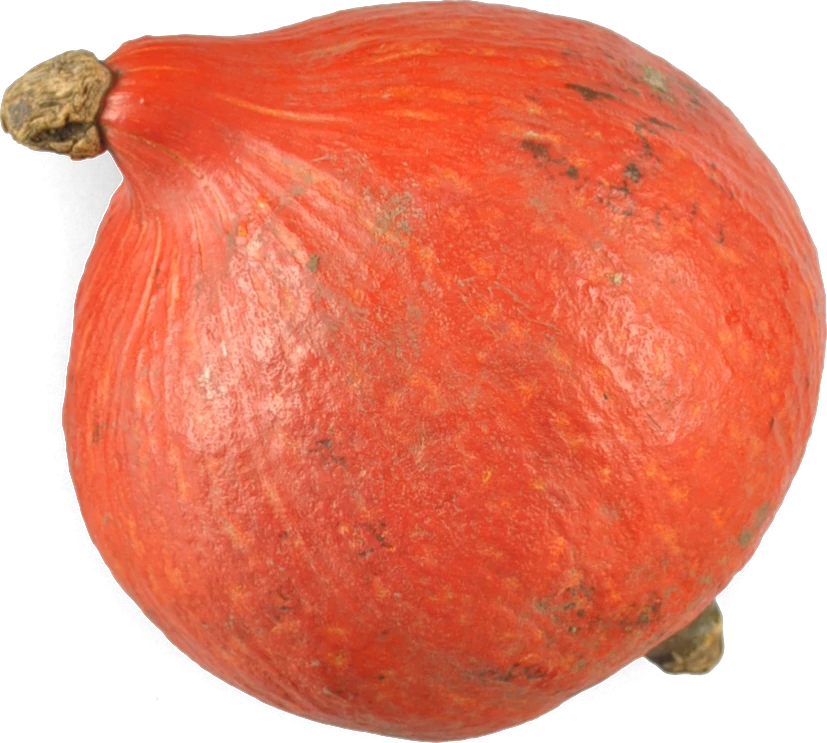 Декоративний кабак