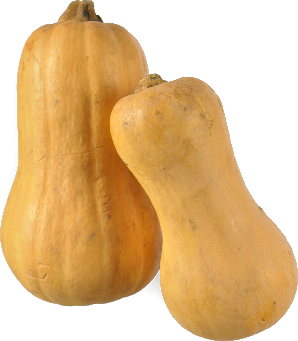 Кабак батернат Україна