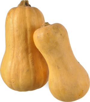 Кабак батернат Україна