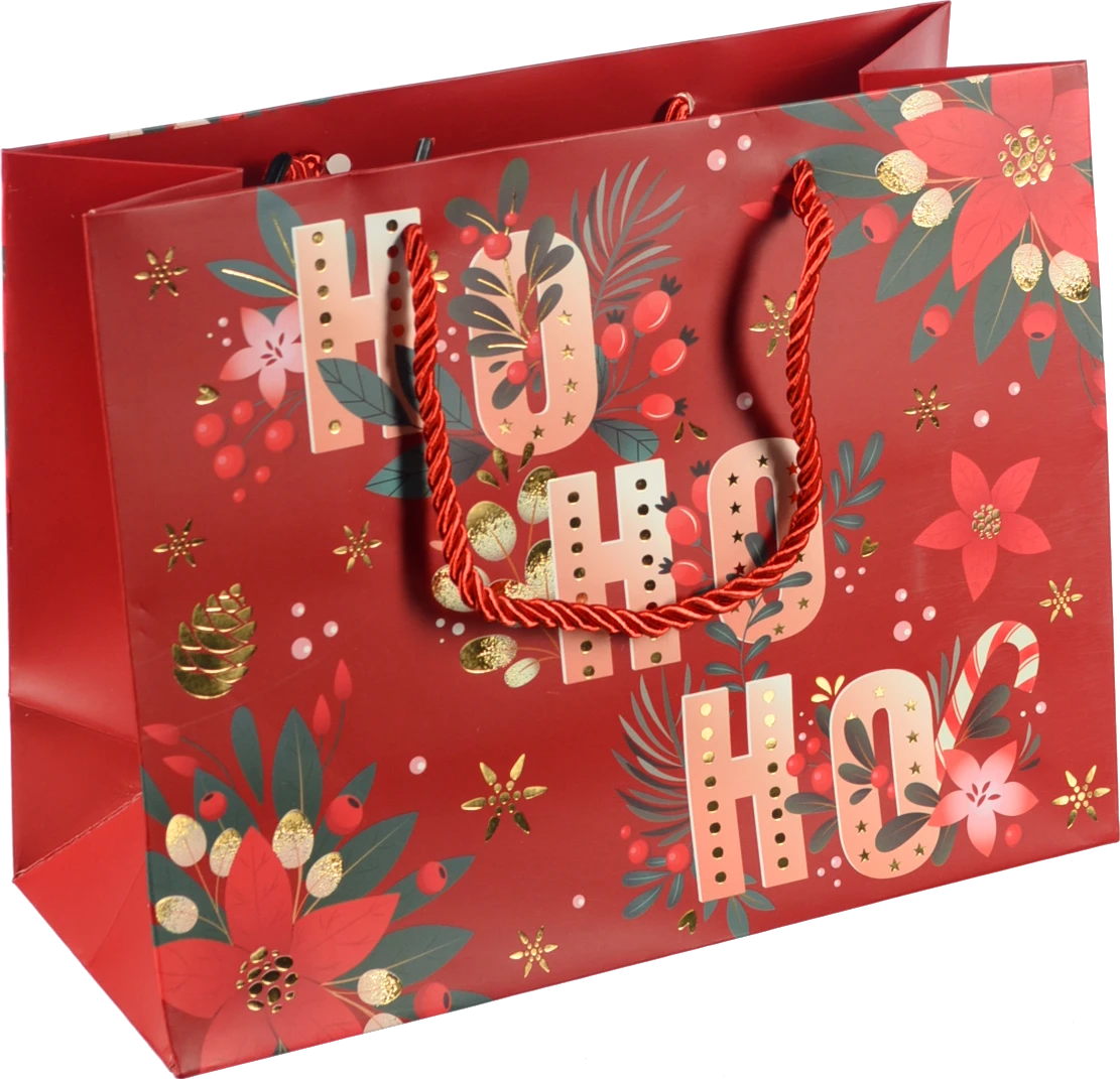 Пакет подарунковий новорічний тип 16 231810cm