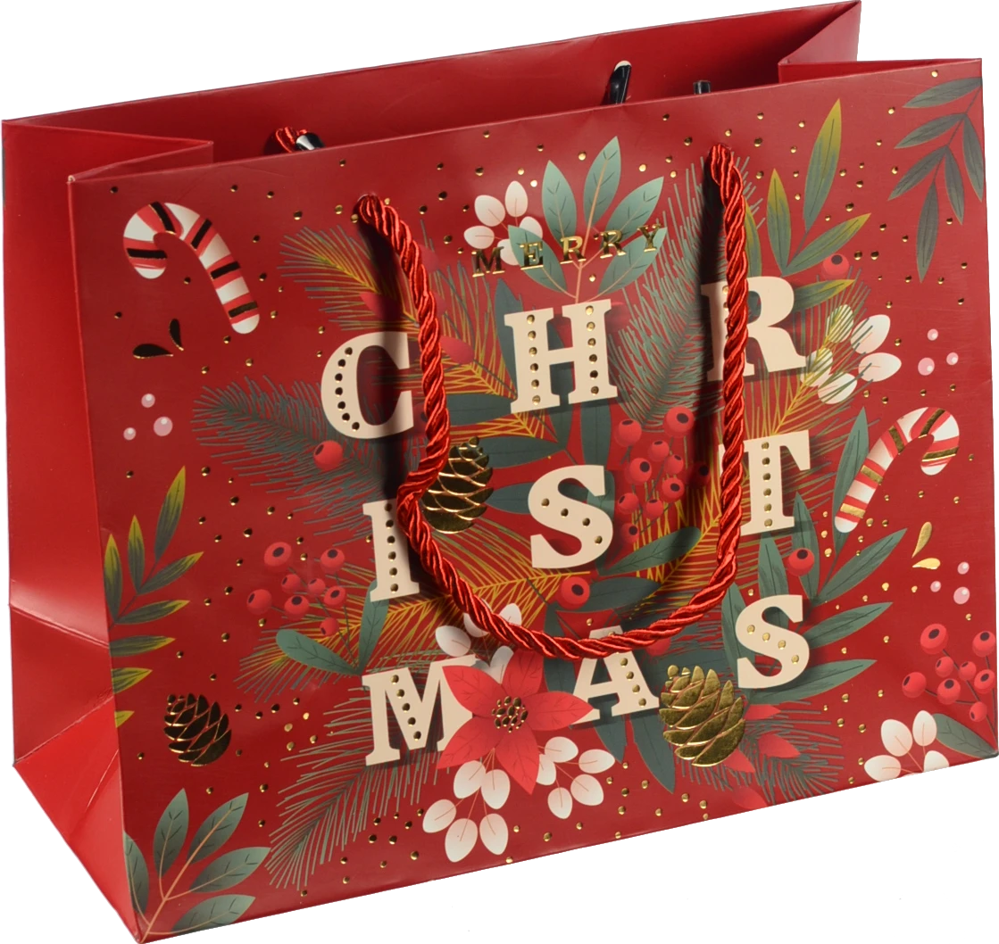 Пакет подарунковий новорічний тип 16 231810cm