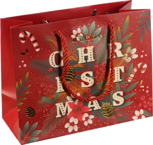 Пакет подарунковий новорічний тип 16 231810cm