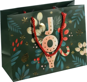 Пакет подарунковий новорічний тип 16 231810cm