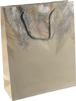 Пакет подарунковий тип 26 263210cm