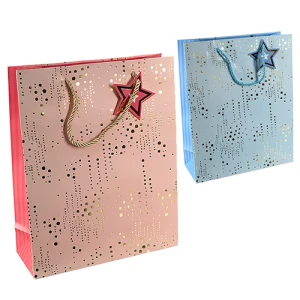 Пакет подарунковий тип 24 263210cm