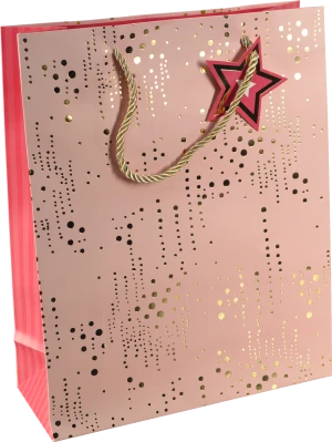 Пакет подарунковий тип 24 263210cm