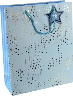 Пакет подарунковий тип 24 263210cm