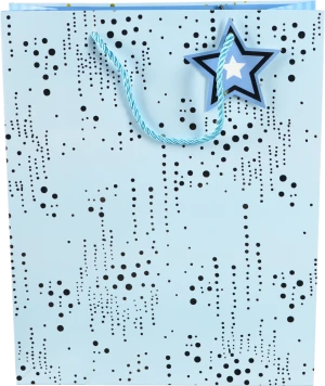 Пакет подарунковий тип 24 263210cm