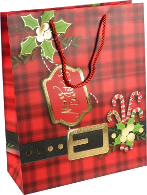 Пакет подарунковий новорічний тип 1 263210cm