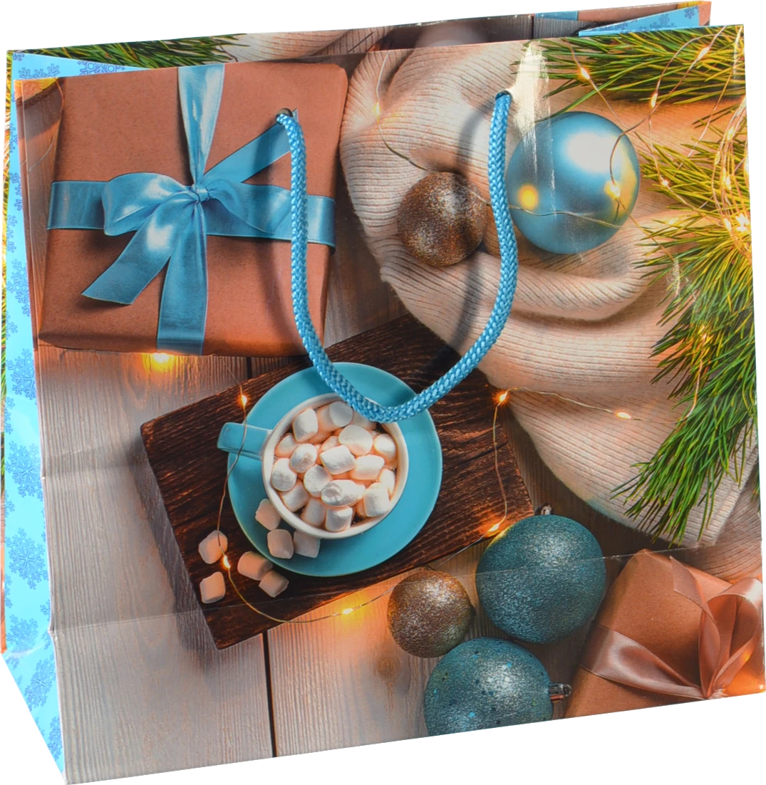 Пакет паперовий ПБС 240х230х100