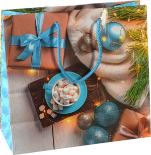 Пакет паперовий ПБС 240х230х100