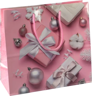 Пакет паперовий ПБС 240х230х100