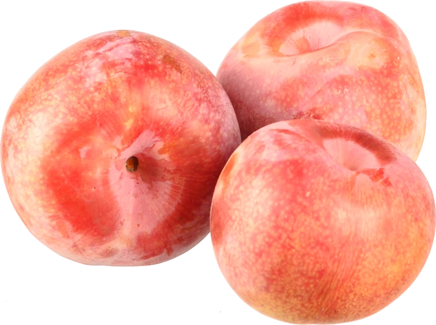 Слива рожева