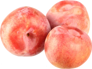 Слива рожева