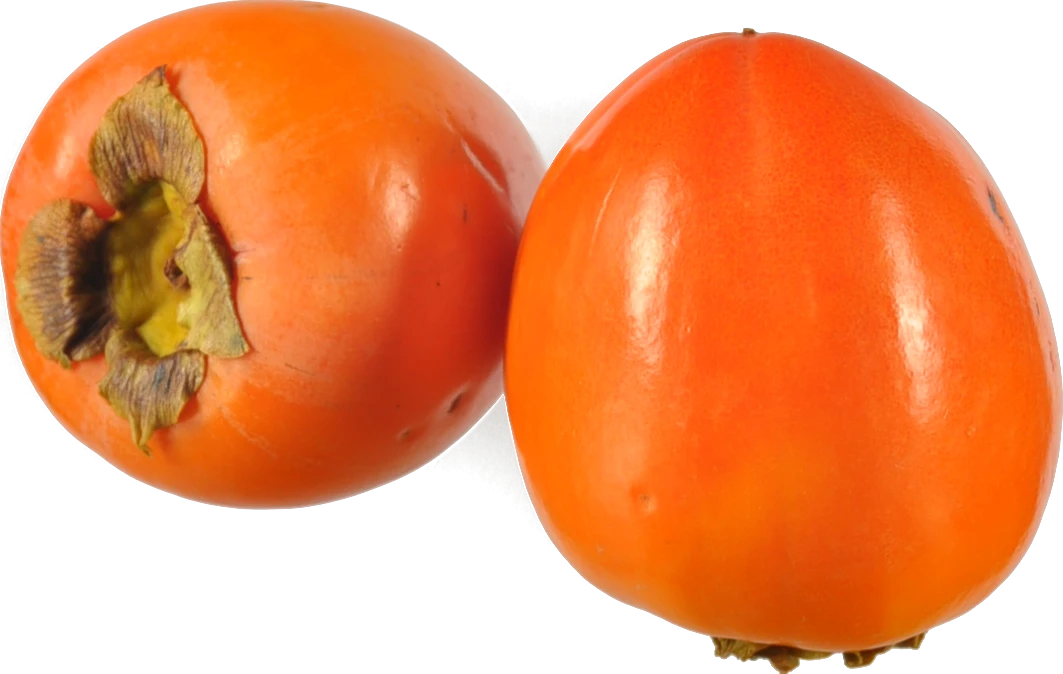 Хурма шарон