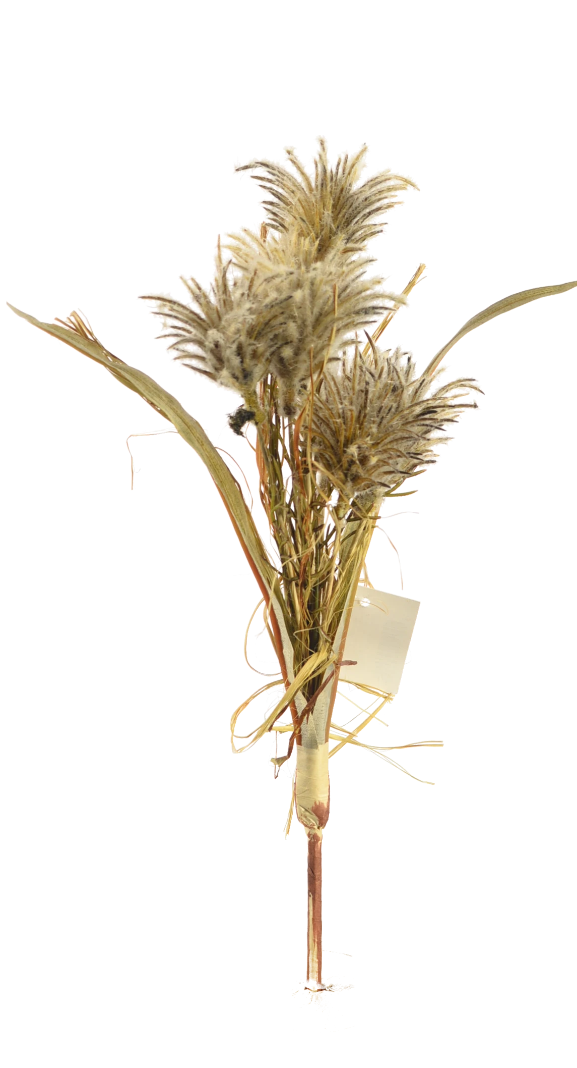 Штучна рослина Renanthera coccinea 31см