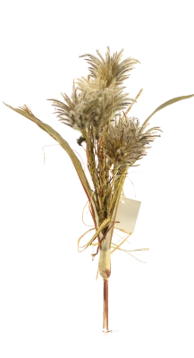 Штучна рослина Renanthera coccinea 31см