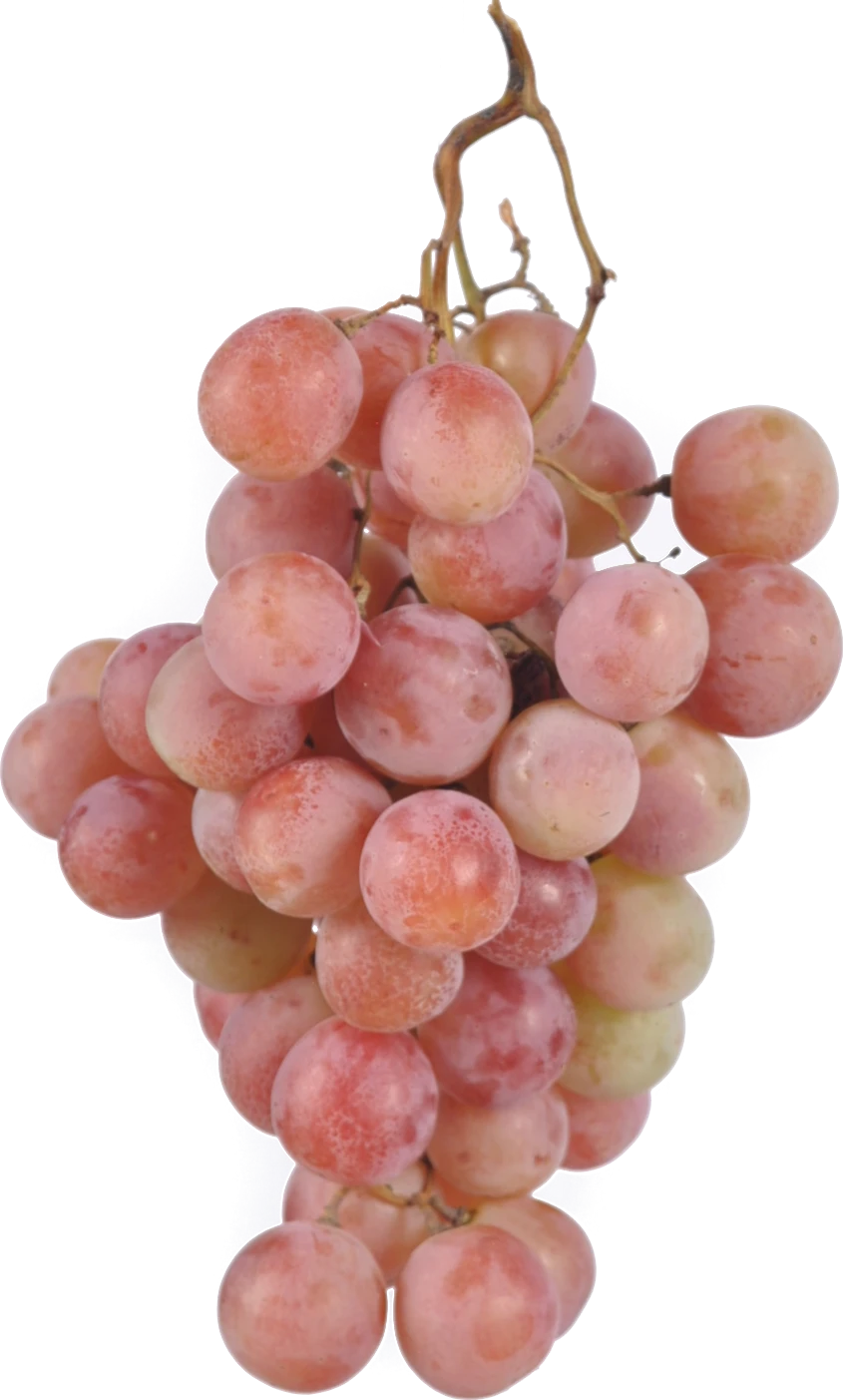 Виноград рожевий