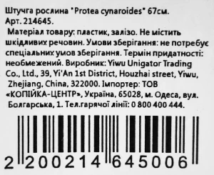 Штучга рослина Protea cynaroides 67см