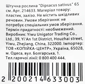 Штучна рослина Dipsacus sativus 65 см