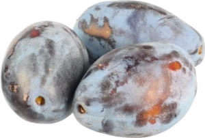 Чорнослив