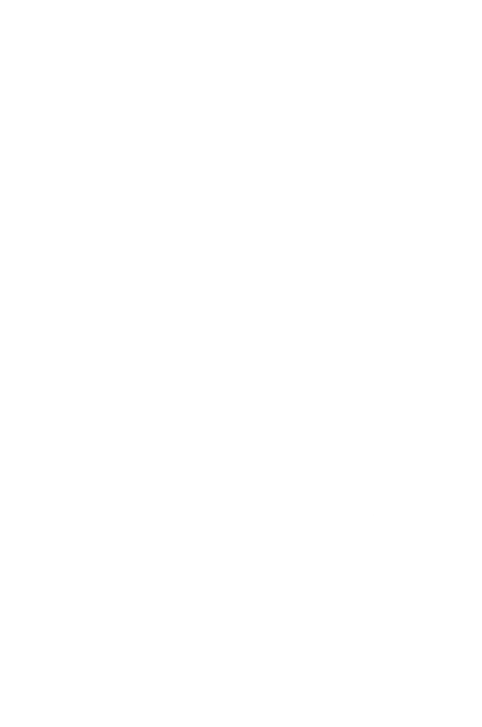 Торт празький    22