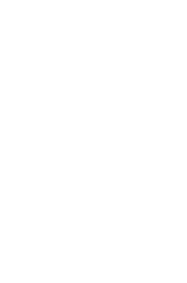 Торт празький    22
