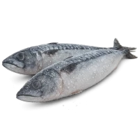 Рибна заморозка
