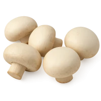 Гриби