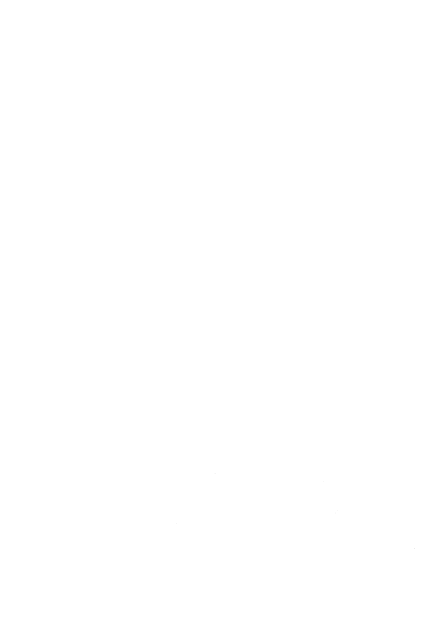 Філе індички